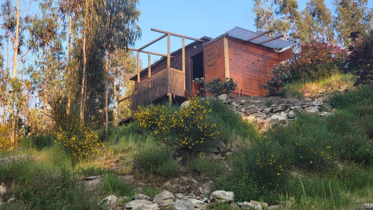 Woodhouse Near River - Near Ocean - Near Porto Exterior photo