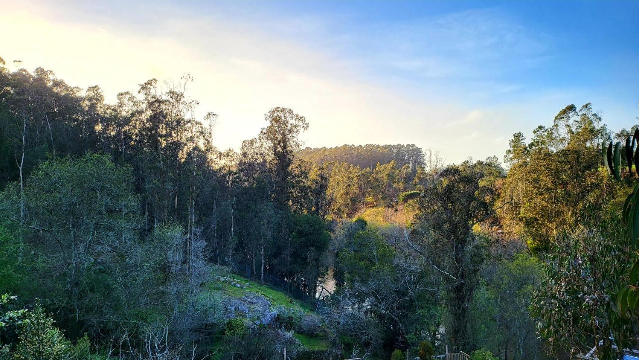 Woodhouse Near River - Near Ocean - Near Porto Exterior photo